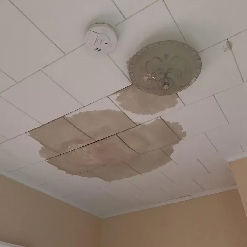 Ceiling Water Damage Repair in Bloomer, WI