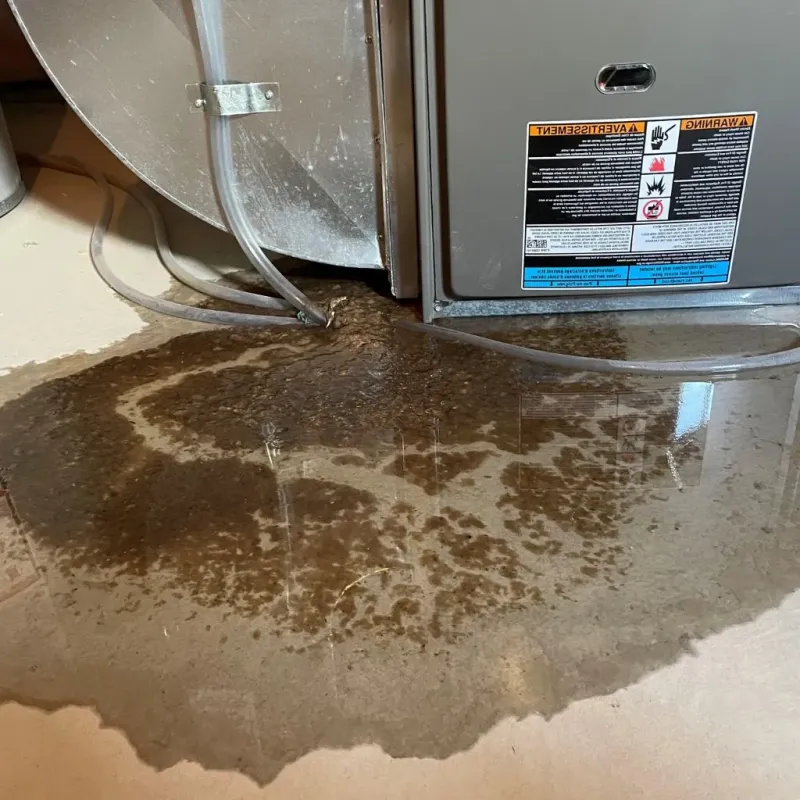 Pipe Burst and Leak Restoration in Bloomer, WI