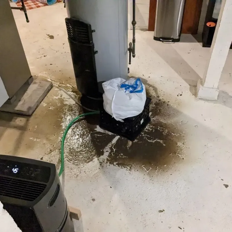 Sewage Backup Cleanup Service in Bloomer, WI